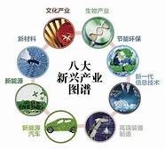 新兴产业创业项目与新兴