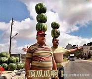 双星运动鞋 为什么如此便宜 双星运动鞋 为什么如此便宜