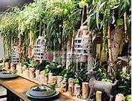 想开个花店 从什么方面入手(开花店有前途吗)