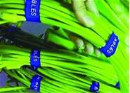 这些儿童用品千万别给孩子用 这8样东西千万别给孩子买