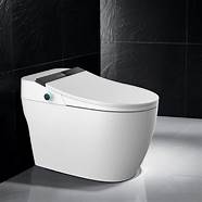 帝王智能马桶怎么样 智能马桶品牌哪个好 帝王智能马桶怎么样 智能马桶品牌哪个好