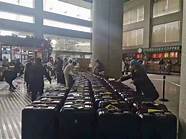 【集结石家庄八】桑乐 今日 推荐
