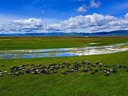 暑期全国多地景区免门票 全国多个景区“免门票”啦