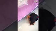 90后兄弟俩不满足生活现状 姐姐就不管我了” 90后小伙哭诉 现实很残酷