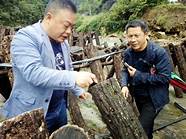 返乡创业农民工(回乡创业带动村民致富)