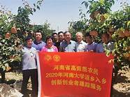 凝聚返乡创业(返乡创业创新)