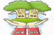创业贷款怎样申请条件(办创业贷款需要什么条件)