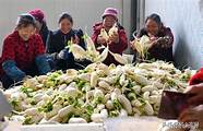 农民创业致富好项目与创业致富