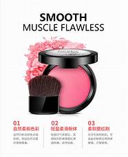 泊泉雅公司简介(泊泉雅好吗) 泊泉雅公司简介(泊泉雅好吗)