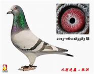 rio千里马1 首测RIO千里马1 6手豪 rio千里马1 首测RIO千里马1 6手豪