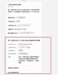 小小“代码”制 这批小小程序员日前正式 C 位「出道