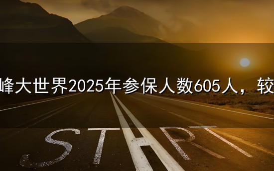 文峰大世界2025年参保人数605人，较上期减少61人、同比下降9.16%