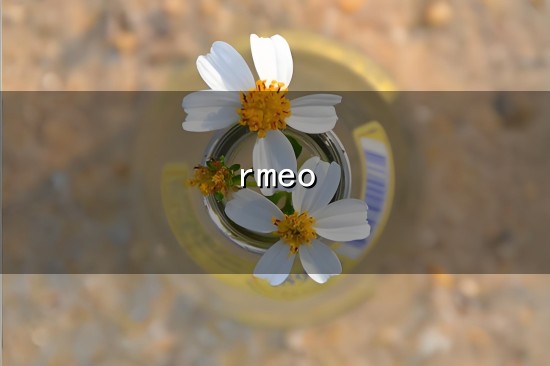 rmeo与rmeo