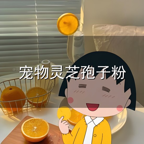 宠物灵芝孢子粉与孢子粉