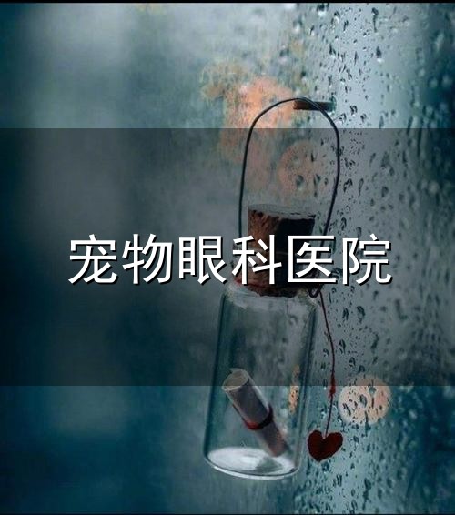 宠物眼科医院与眼科
