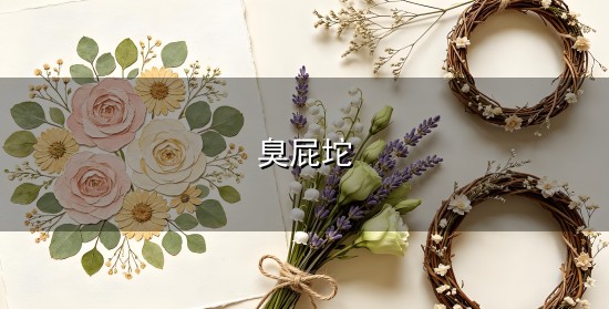 臭屁坨 臭屁坨 - 抖音