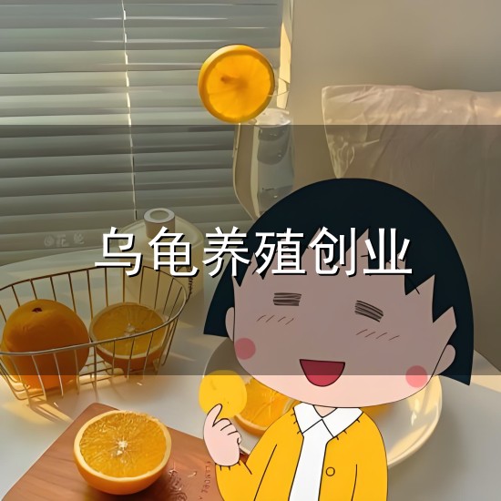 乌龟养殖创业和乌龟 乌龟养殖创业与乌龟