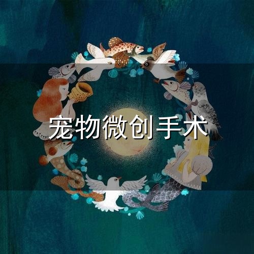 宠物微创手术与微创手术