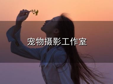 宠物摄影工作室与工作室