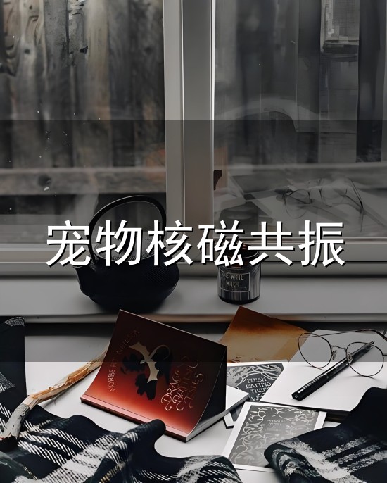 宠物核磁共振与核磁共振