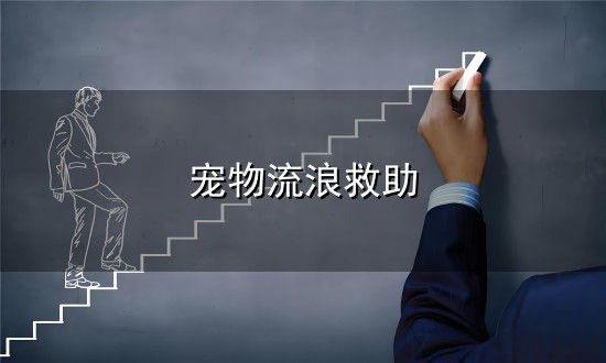 宠物流浪救助和救助 宠物流浪救助与救助