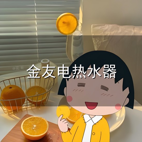 金友电热水器与金友