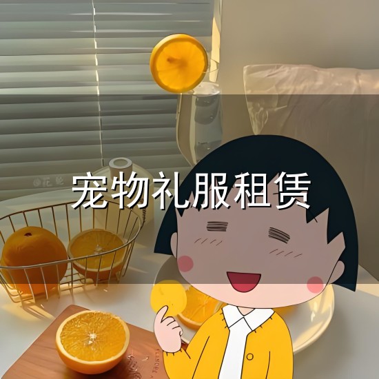 宠物礼服租赁与礼服