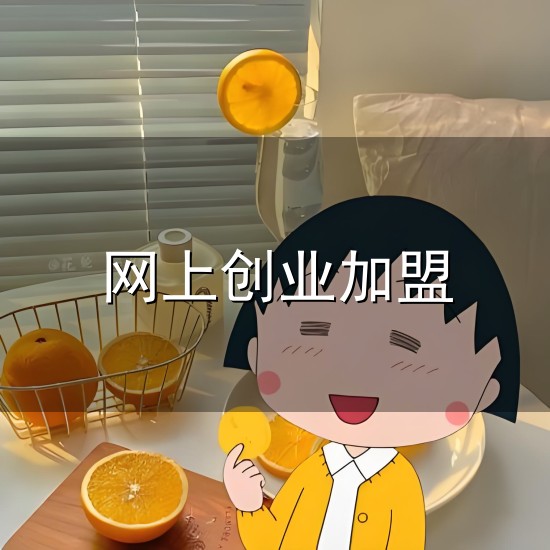 网上创业加盟和创业加盟 网上创业加盟与创业加盟