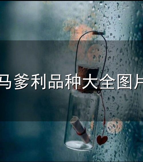 马爹利品种大全图片与品种