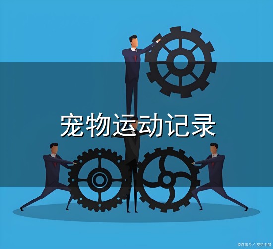 宠物运动记录与宠物