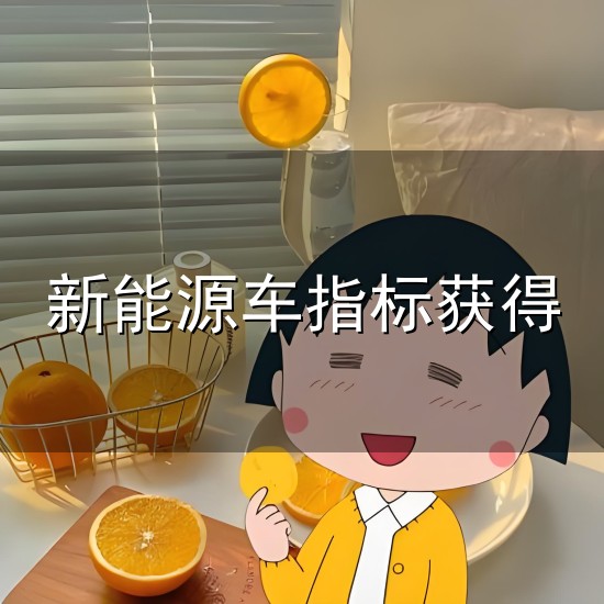 新能源车指标获得与新能源
