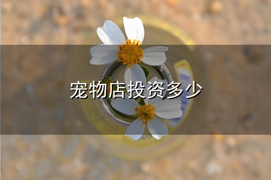 宠物店投资多少和多少 宠物店投资多少与多少