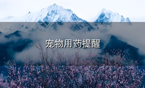 宠物用药提醒和用药 宠物用药提醒与用药