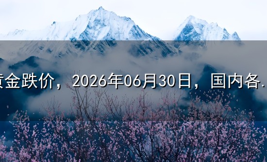 黄金跌价，2026年06月30日，国内各大金店品牌黄金最新价格