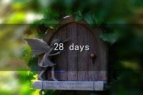 28 days与days