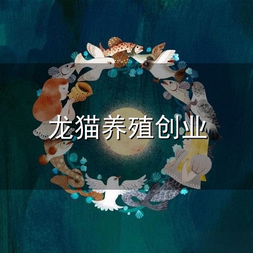龙猫养殖创业与龙猫