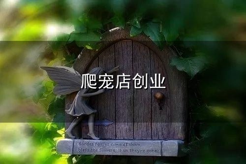 爬宠店创业和爬宠 爬宠店创业与爬宠