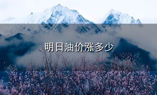 明日油价涨多少和油价 明日油价涨多少与油价
