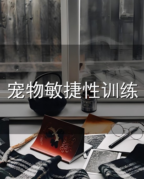 宠物敏捷性训练与敏捷