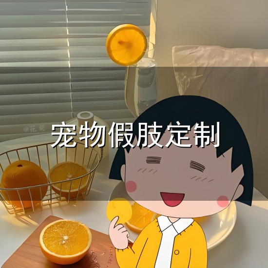 宠物假肢定制和假肢 宠物假肢定制与假肢