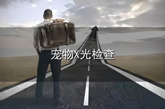 宠物X光检查与检查