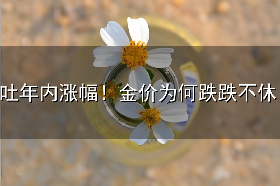 沪金回吐年内涨幅！金价为何跌跌不休？