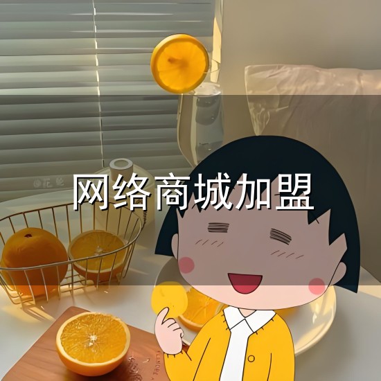 网络商城加盟和网络商城 网络商城加盟与网络商城