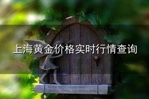 上海黄金价格实时行情查询与实时行情