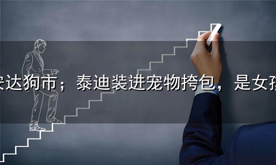 实拍安达狗市;泰迪装进宠物挎包,是女孩今夏最炸街的活体装饰 实拍安达狗市;泰迪装进宠物挎包,是女孩今夏最炸街的活体装饰