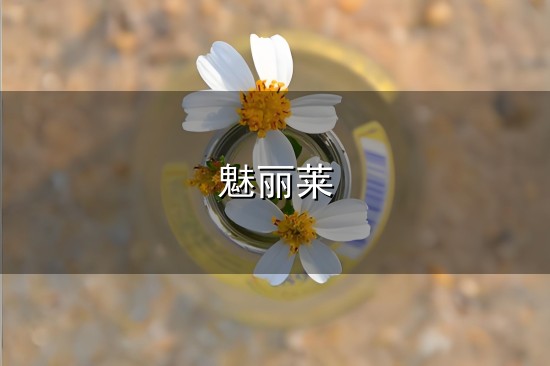 做微商得宝马？ “微商女王”冯艳的莱魅丽创业之路