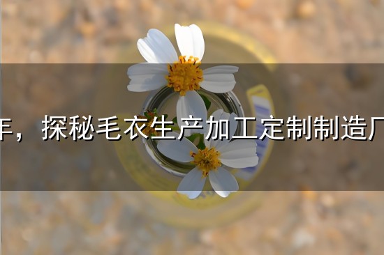 2026年,探秘毛衣生产加工定制制造厂的独特魅力与精湛工艺! 2026年,探秘毛衣生产加工定制制造厂的独特魅力与精湛工艺!