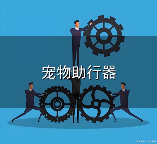 宠物助行器 狗狗车祸受伤无法行走,主人为其自制滑轮助行器