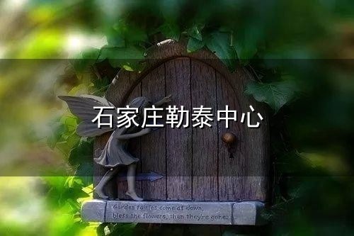 石家庄勒泰中心 石家庄勒泰中心_勒泰项目_关于勒泰_勒泰集团官网