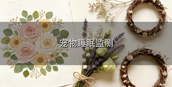 宠物睡眠监测和监测 宠物睡眠监测与监测